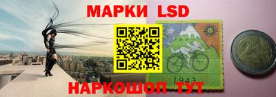 прущие грибы Будённовск
