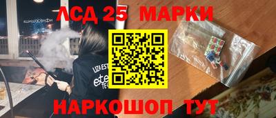 прущие грибы Будённовск