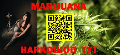 прущие грибы Будённовск