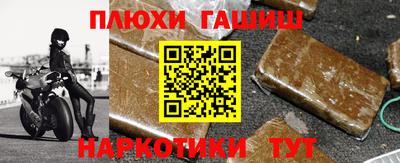 прущие грибы Будённовск