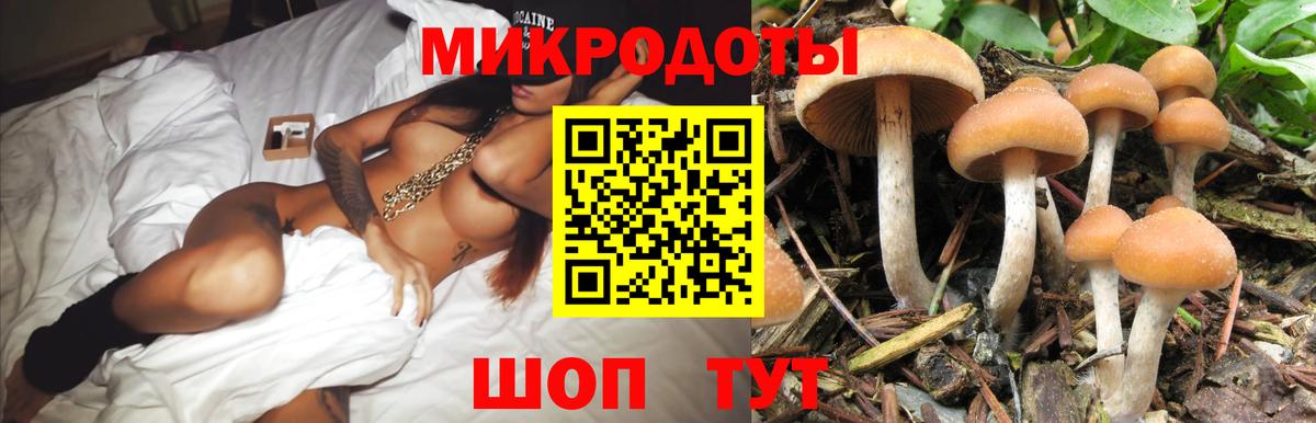 Галлюциногенные грибы мицелий Георгиевск