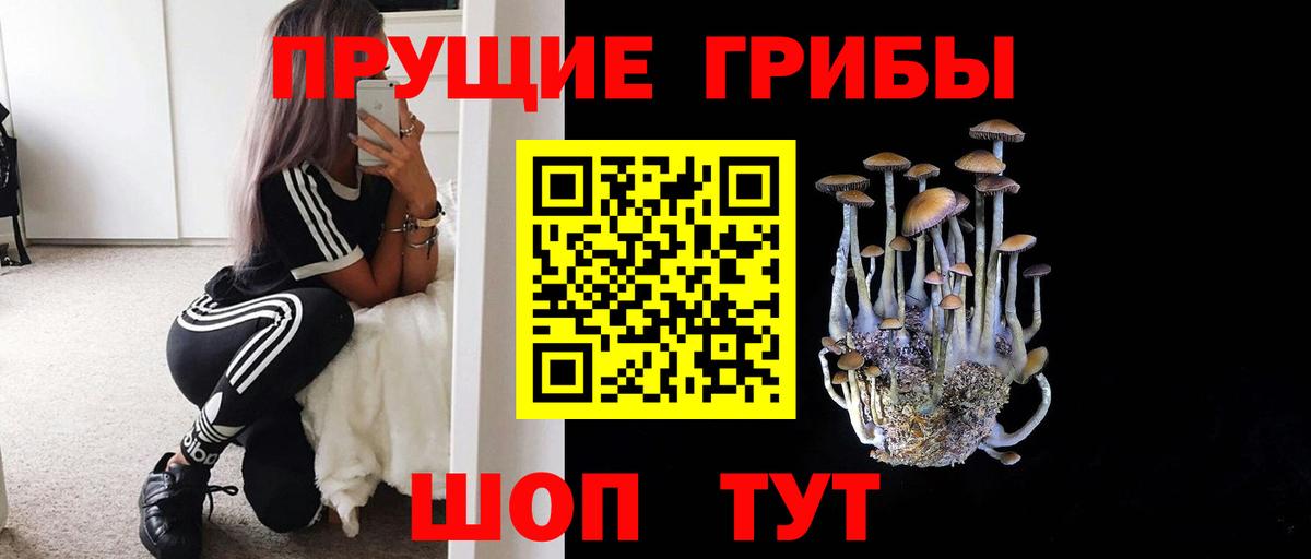 закладки  Вход с VPN  Галлюциногенные грибы ЛСД  Георгиевск  Псилоцибиновые грибы ЛСД 